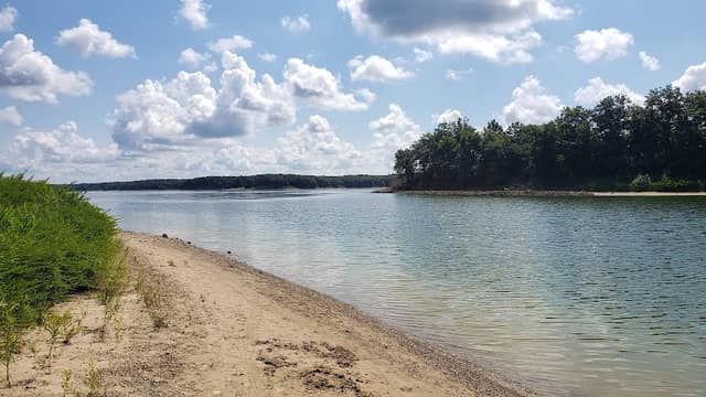 Forest Park - Image 2