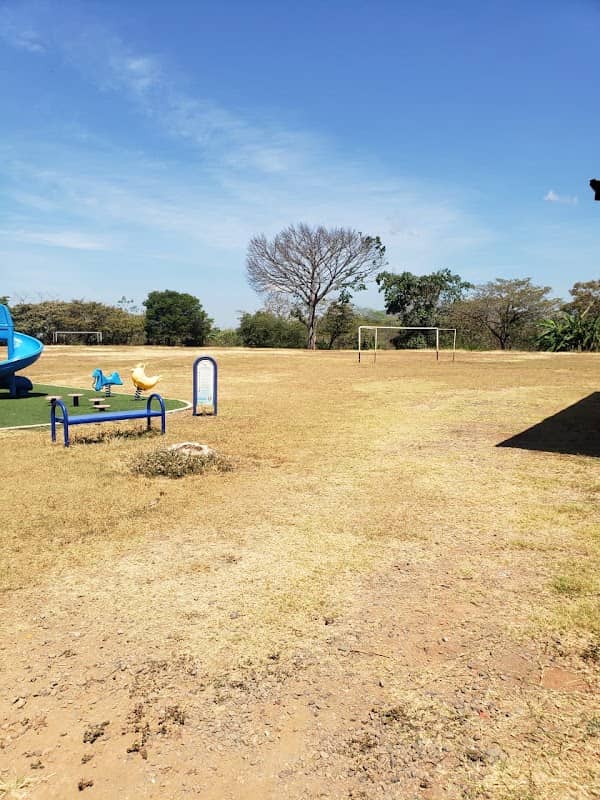pepazo Park - Image 1