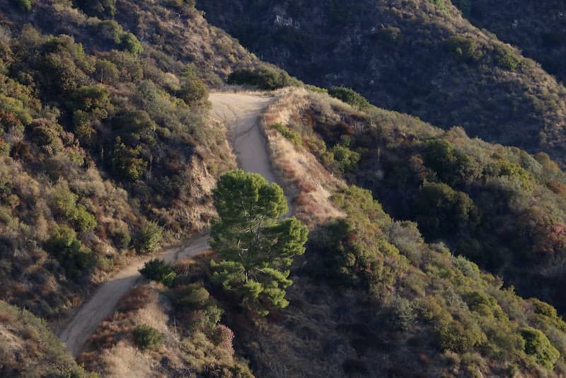 Verdugo Mountain - Beaudry Fire Road Loop - Image 3