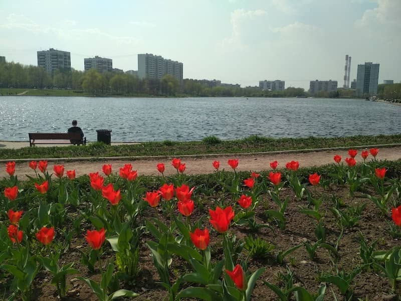 Golyanovskiy Prud - Image 1
