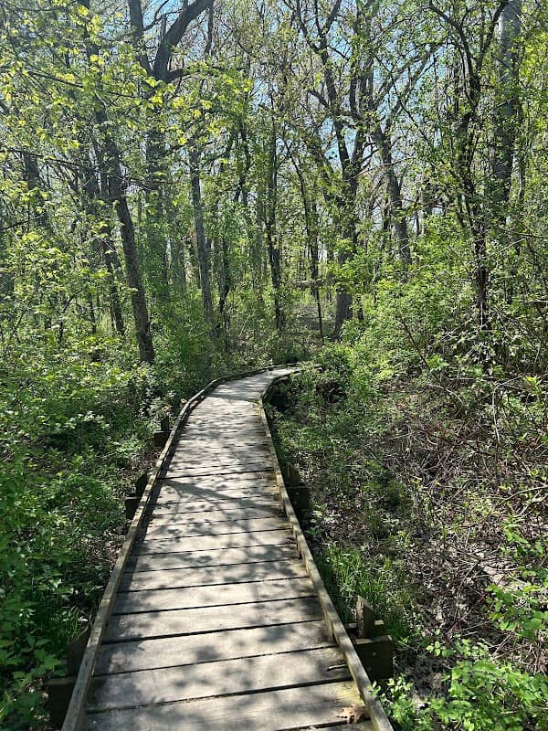 Storrs Lake Wildlife Area - Image 3