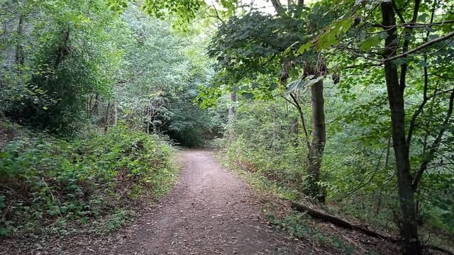 St Dean's Wood - Image 2