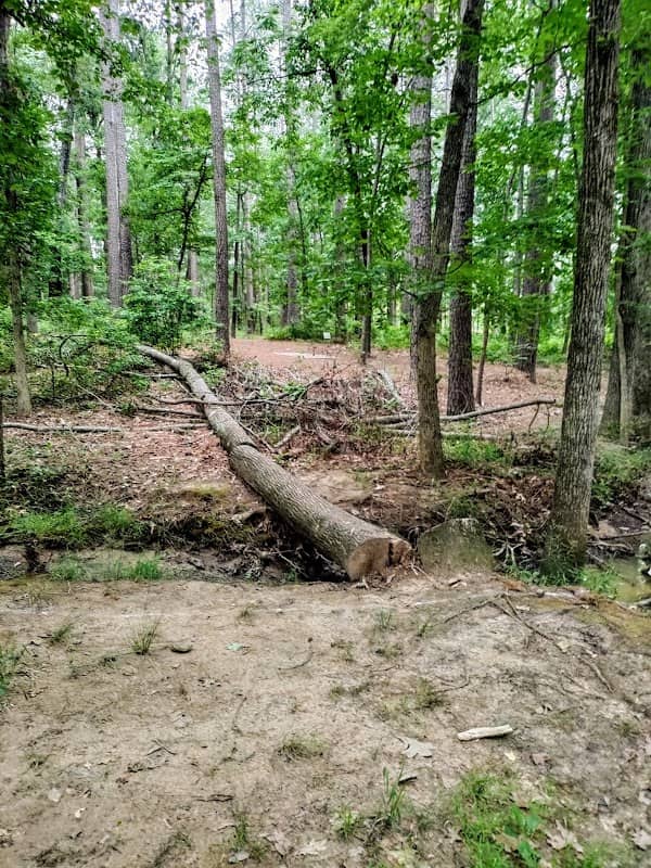 Hinsley Park - Image 1