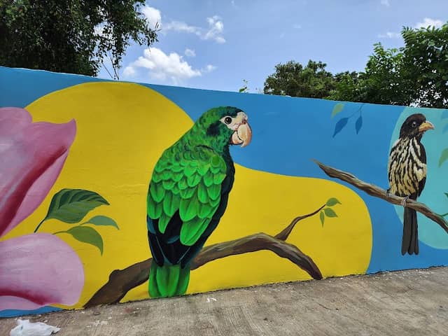 Paseo se Los Colores Maimón - Image 1