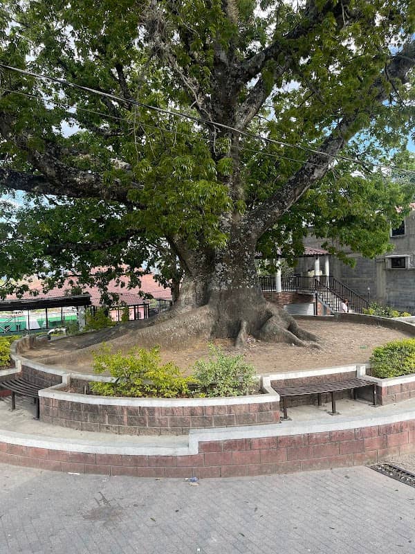 El Teocinte Park - Image 1