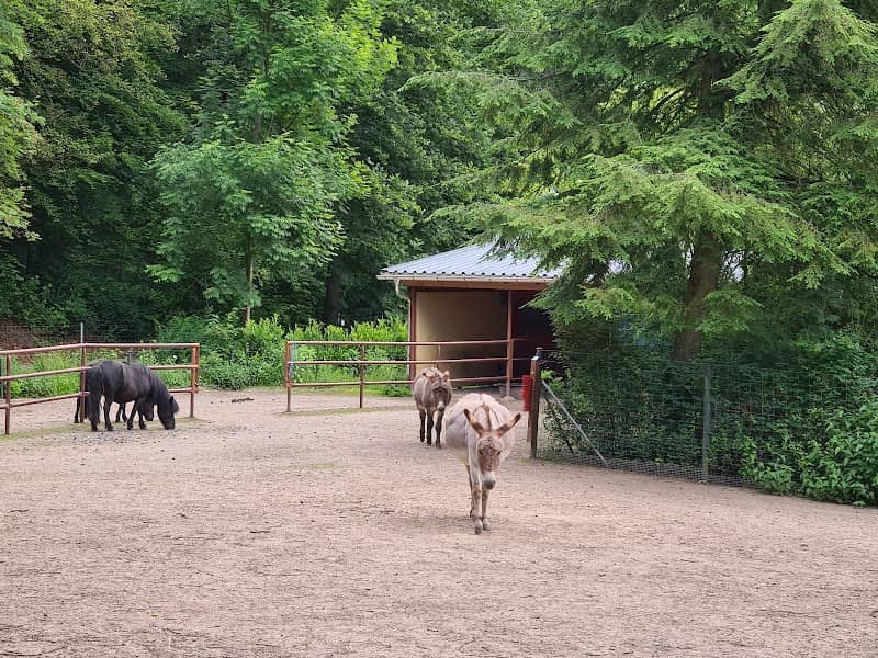 Tiergehege im Sahn Park - Image 1