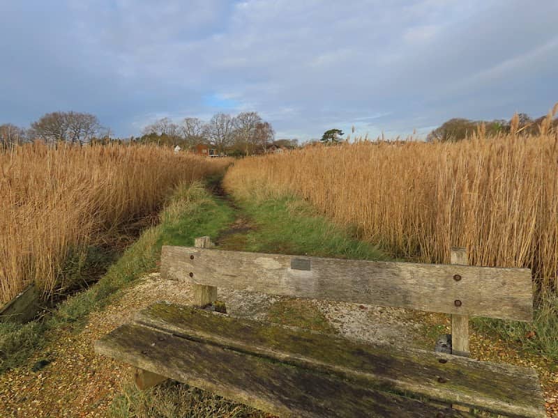Mercury Marshes LNR - Image 1