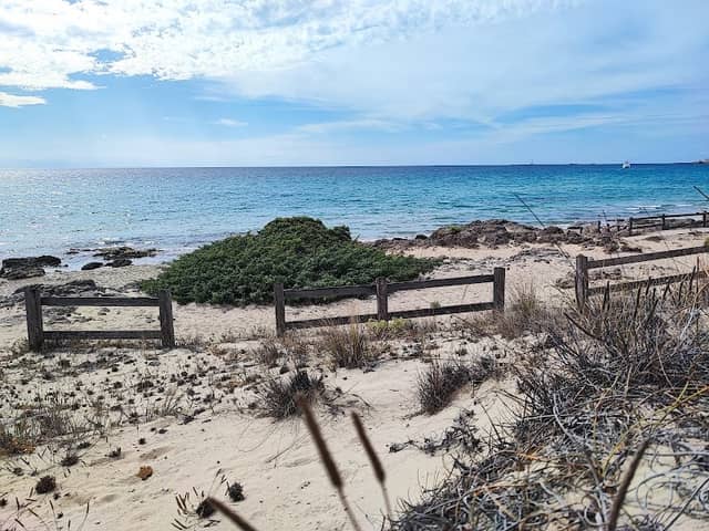 Caletta Armelloni - Image 1