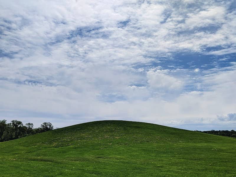 Mitchell Park - Image 1
