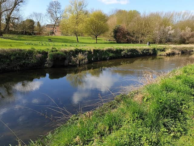 Cole End Park and nature reserve - Image 1