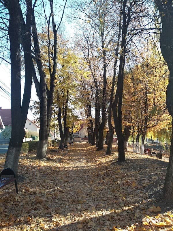 Parcul Alexandru Sahia - Image 1