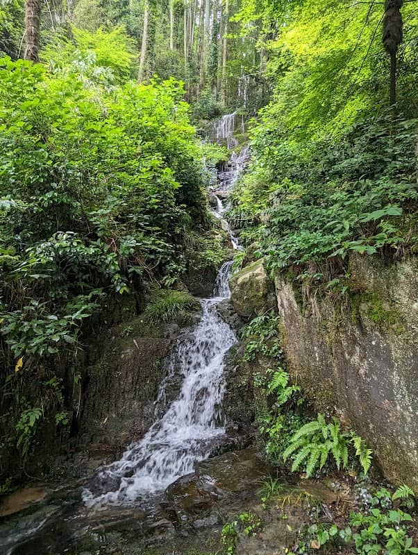 花と渓流の里公園(小滝) - Image 2