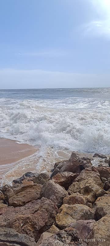 Baloiço da Praia da Gaivota - Image 2