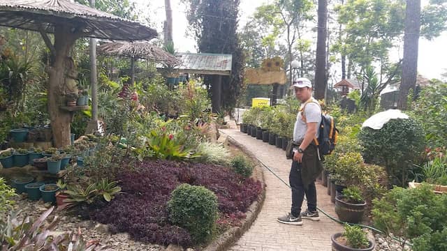 Panagbenga Park Butterfly House - Image 2
