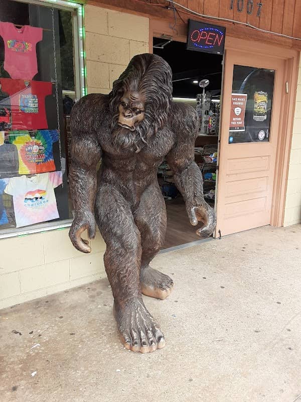 Cherokee North Carolina - Image 3
