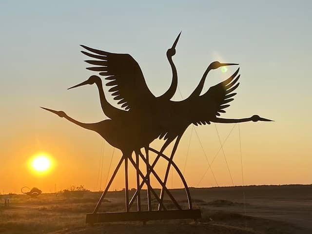 Brolgas Sculpture - Image 1