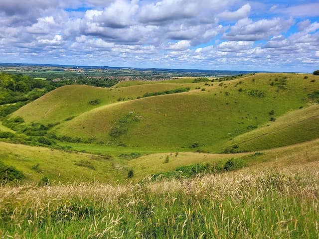 Barton Hills NNR - Image 2