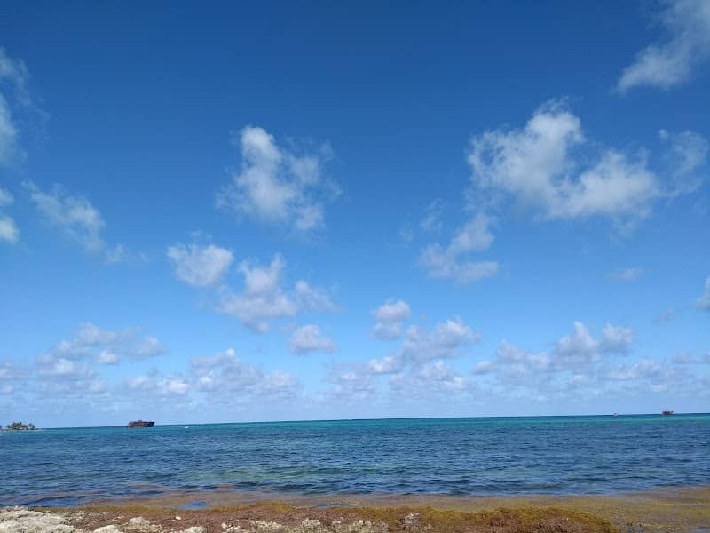 Sarie Bay - Image 3