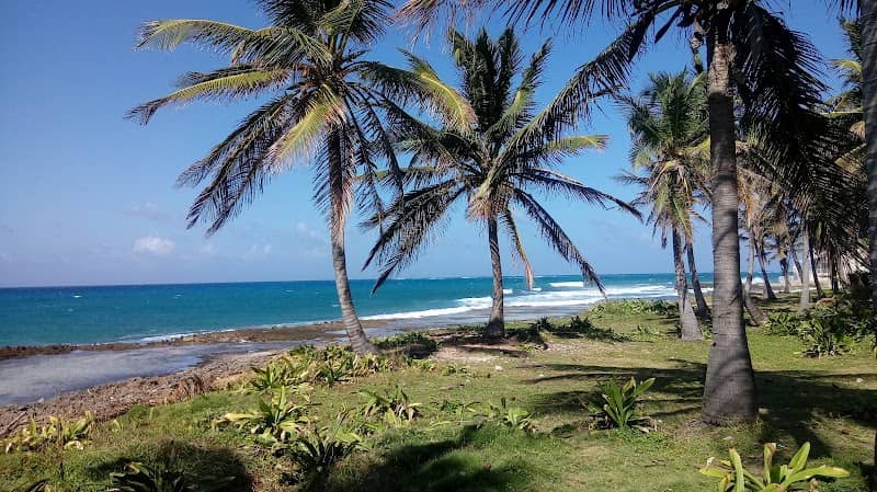 Sarie Bay - Image 2