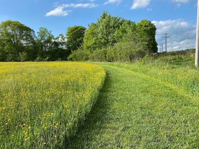 South Russell Village Park - Image 1