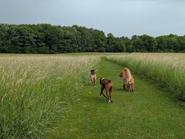 South Russell Village Park - Image 2