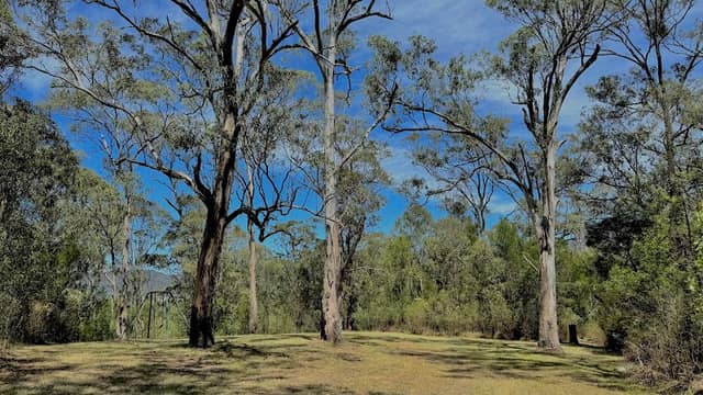 Roxana Road Reserve - Image 2