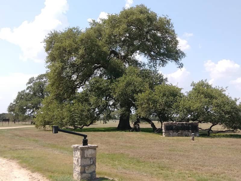 Sam Houston Oak AND BRACHES HOUSE - Image 2