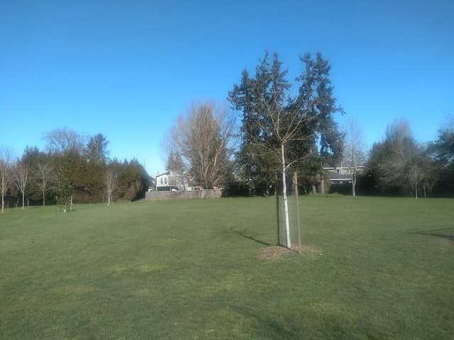 Leslie Park - Image 2
