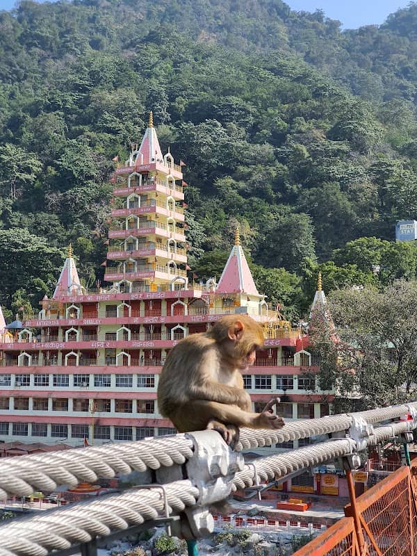 Bliss Ghat - Image 1