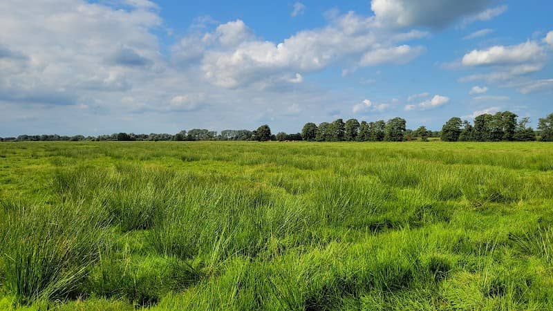 Fischerhuder Wümmeniederung - Image 1