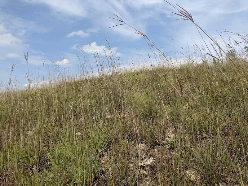 Blackmun Prairie - Image 1