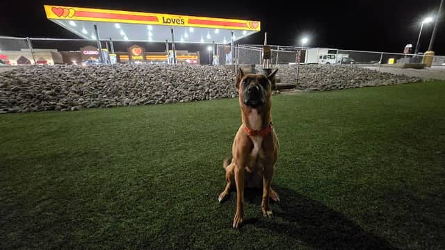 Dog Park at Love's Travel Stops - Image 1