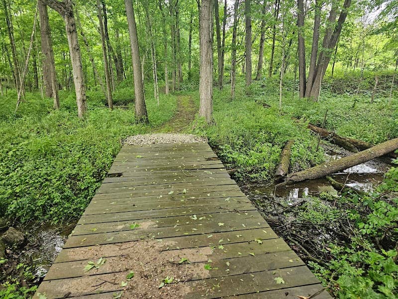 Berkshire-Tarnowski Forest Preserve - Image 2