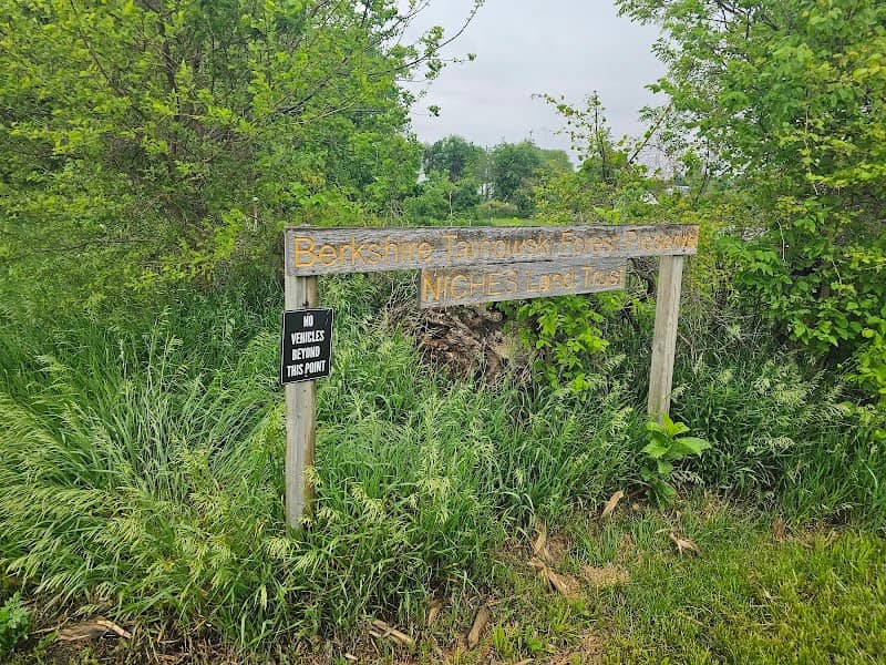 Berkshire-Tarnowski Forest Preserve - Image 1