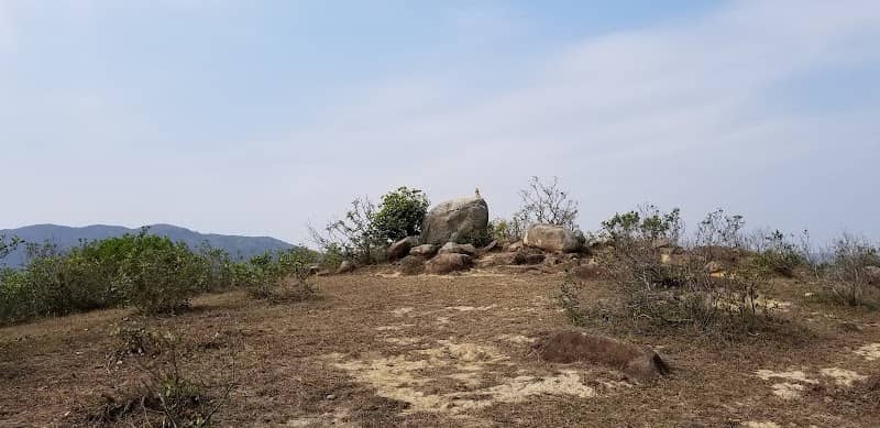 Lo Tsai Shek - Image 1