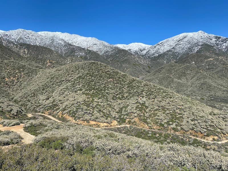 North Etiwanda Preserve - Image 5