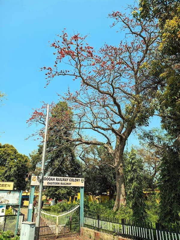 Children's Park - Image 1