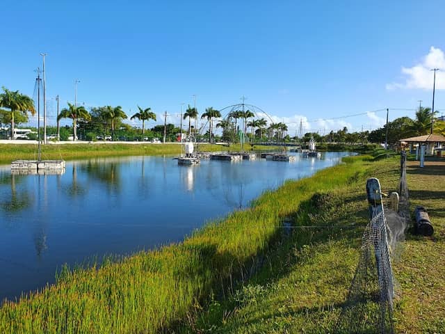 Parque da Sementeira - Image 1