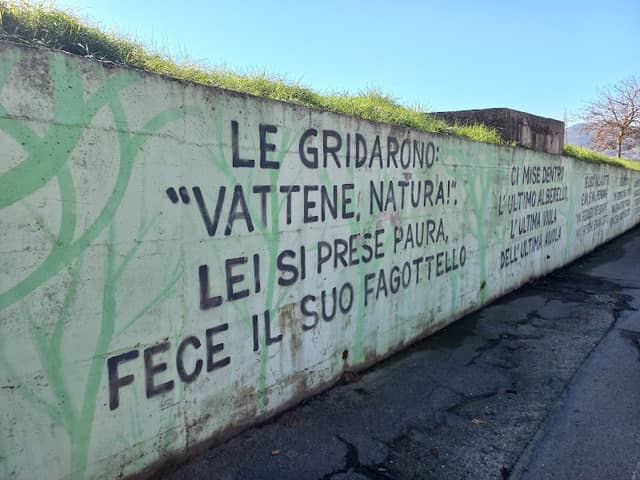Murales della natura - Image 1