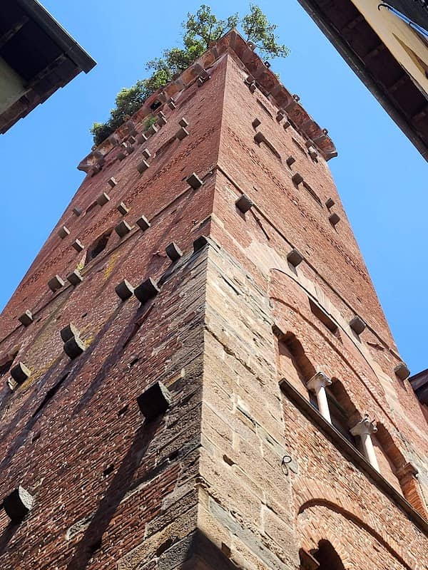 Guinigi Tower - Image 2