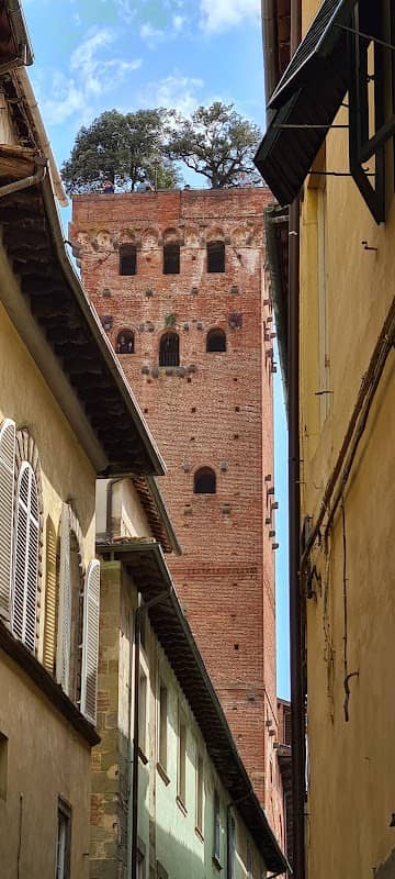Guinigi Tower - Image 3