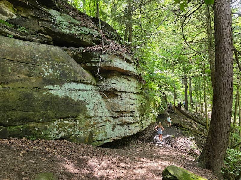 Fitzgerald Park - Image 1