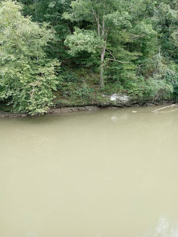 The Record Park - Image 1