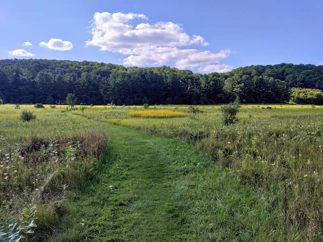 Loew Lake Unit of Kettle Moraine State Forest - Image 1
