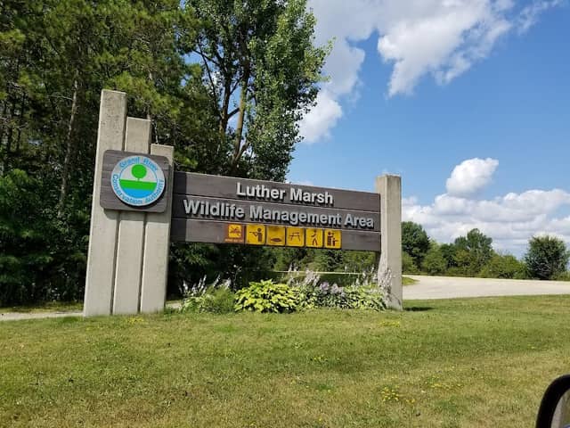 Luther Marsh Wildlife Management Area - Image 3