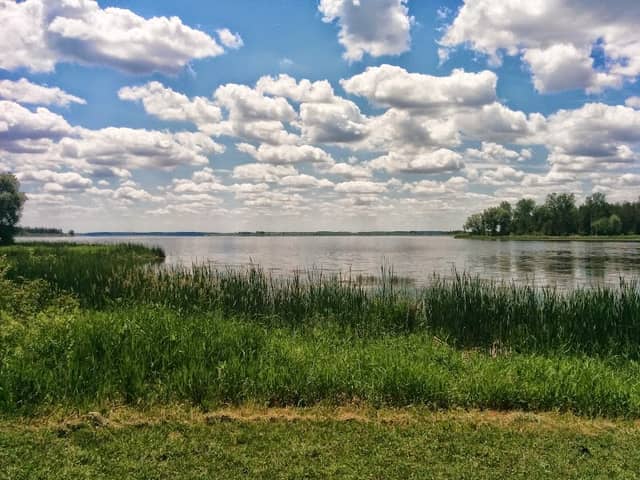 Luther Marsh Wildlife Management Area - Image 1