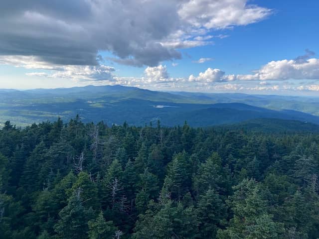 Okemo State Forest - Image 1
