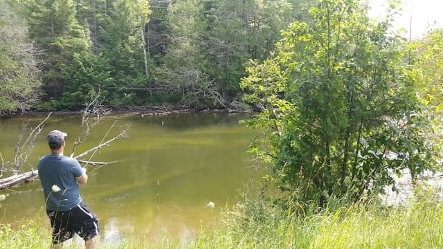 10 Curves Canoe Access Site - Image 1