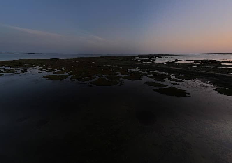 Ria Formosa Natural Park View - Image 1