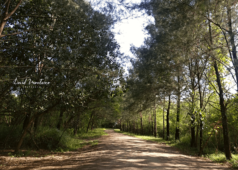 Freedom Island Nature Trail - Image 1